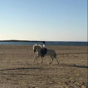 Meet your Posher, Olivia